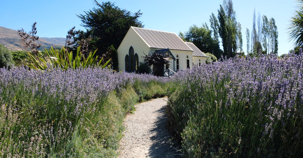 Geothermal Heating Systems for Passive Houses